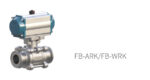 FB-A Series Floating Ball Valve - Image 3