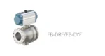 FB-D Series Trunnion-Mounted Ball Valve - Image 2